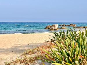 Residenza Saverosa img16