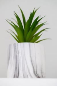 Appartements Appartement 4 proche de la gare et du centre ville : photos des chambres