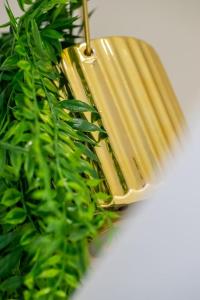 Appartements Appartement 5 proche de la gare et du centre ville : photos des chambres