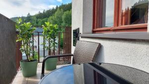 Apartament Międzygórski