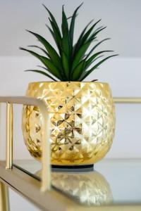 Appartements Appartement 6 proche de la gare et du centre ville : photos des chambres