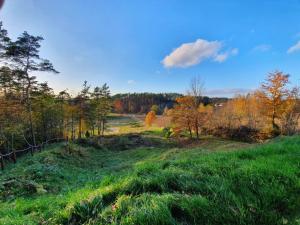 Sielski Domek Na Wzgórzu