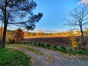 Sielski Domek Na Wzgórzu