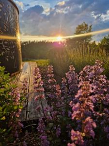 Sielski Domek Na Wzgórzu