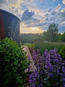 Sielski Domek Na Wzgórzu