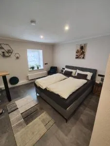 Ferienzimmer Geyersberg - 巴特索伯恩海姆