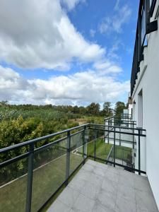 Wypoczęci i Zrelaksowani NEXO PUCK