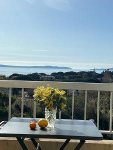 Le Lavandou St Clair