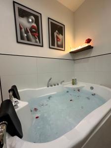 Appartements Orleans Centre - LOVE ROOM - Good Vibes Only BY PRIMO C0NCIERGERIE : photos des chambres