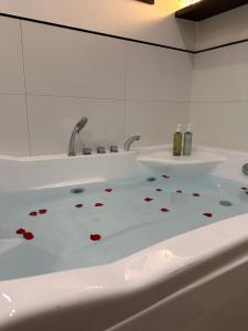 Appartements Orleans Centre - LOVE ROOM - Good Vibes Only BY PRIMO C0NCIERGERIE : photos des chambres