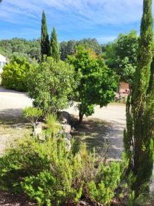 B&B / Chambres d'hotes Studios et Gite La Sauvasse : Studio Standard