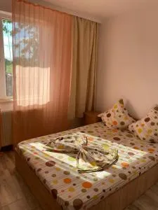 Casa Stoian - Schitu