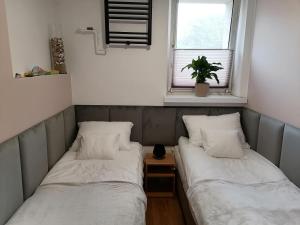 Apartament Toruńska