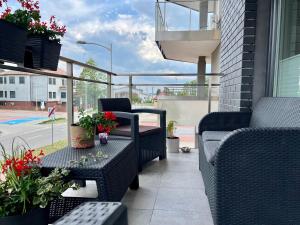 Artystyczna przestrzeń - Marina