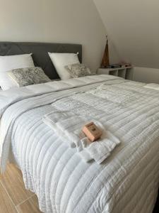 Maisons de vacances Maisons a dix minutes des plages : photos des chambres