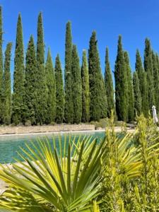 B&B / Chambres d'hotes B&B Petite Maison Le Jardin : photos des chambres