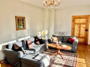 Oswald Hempel 5 Zimmermaisonette und 3 Zimmer Loftwohnung