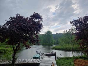 Domek de Janauis i jeziorko