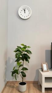 Urban Breeze Aparments