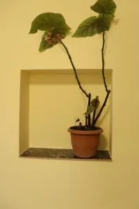 Lucy guest house - Vedi