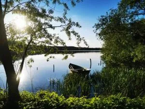 Domki w Parku na Mazurach - Kiersztanowo