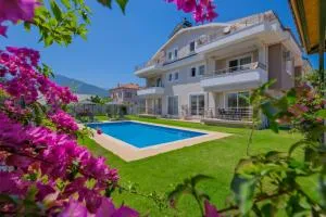 Pine Apart 2 - Eldirek