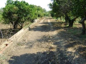 CASA PRAIOLA Tangerines House by the SEA