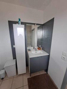 Appartements Logement entier, calme, hyper equipe : photos des chambres