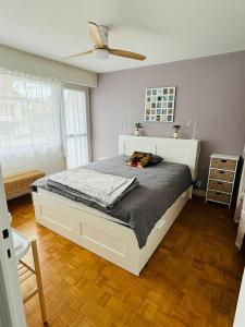 Appartements F2 lumineux 40 m2 Face aux thermes de Thonon. : Appartement 1 Chambre
