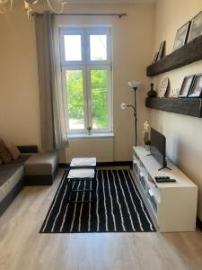 Apartament Mikolowska 9