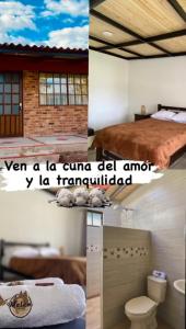 Cabaña MALAVI Colibrí