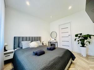 Szep Ernő Vip Apartman