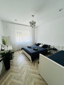 Szep Ernő Vip Apartman
