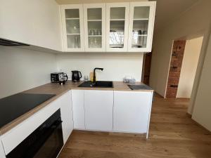 New stylish city center apartment