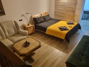 Ultracentral Garage studio - Bistriţa