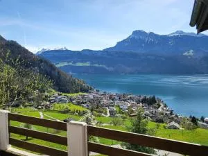 Hotel Platten Apartment - Oberägeri