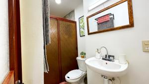 Estudio Centrico KING SIZE Wifi