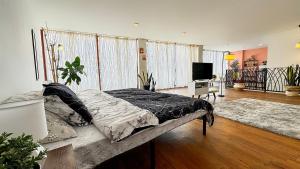 Estudio Centrico KING SIZE Wifi