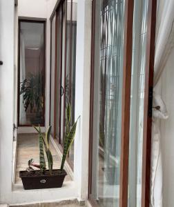 Estudio Centrico KING SIZE Wifi