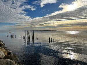 Villas Magnifique Villa Lege Cap Ferret avec piscine : photos des chambres