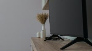 Danės skveras, jaukūs apartamentai centre, free parking