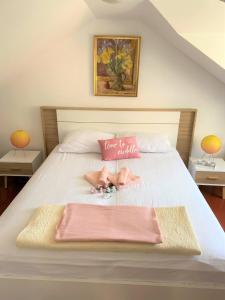 Bonaca apartment and rooms