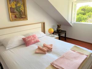 Bonaca apartment and rooms