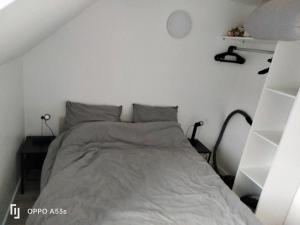 Appartement familial proche château