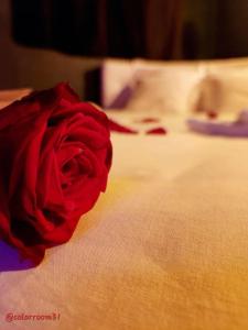 Appartements Colorroom31 - Nuit insolite - Spa - Tantra - Love room : photos des chambres