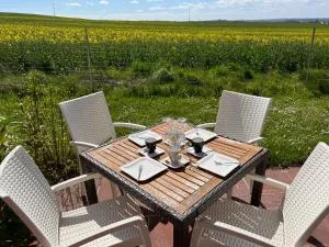 Apartment Ostseebrise im Ferienpark - Neddesitz