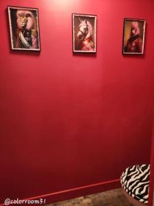 Appartements Colorroom31 - Nuit insolite - Spa - Tantra - Love room : photos des chambres