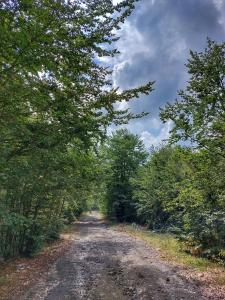 Eko katun Staro katunište