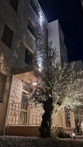 Bella Vista Residence D7 - Ubytování bez kategorie ve městě Herceg Novi