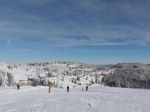Sunny Loft with Mountain Views